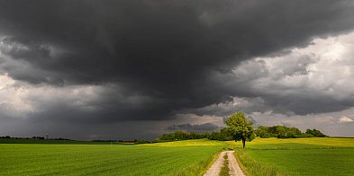 Ostrzeżenie drugiego stopnia przed burzami -36659