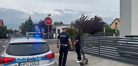 Mandaty dla kierujących hulajnogami i rowerami