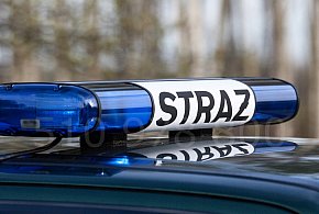 Groźne zdarzenie w Nowej Wsi Królewskiej-36873