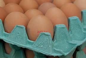 Salmonella na jajach znanej marki. Nie jedz, jeśli masz je w lodówce!-37742