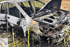 Auto doszczętnie spłonęło na polu-38173