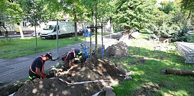 Trwa metamorfoza skweru przy ul. Harcerskiej-38464