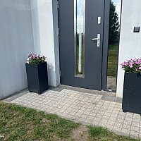 zdjecie ogloszenia
