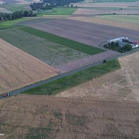 zdjecie ogloszenia
