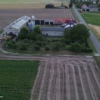 zdjecie ogloszenia
