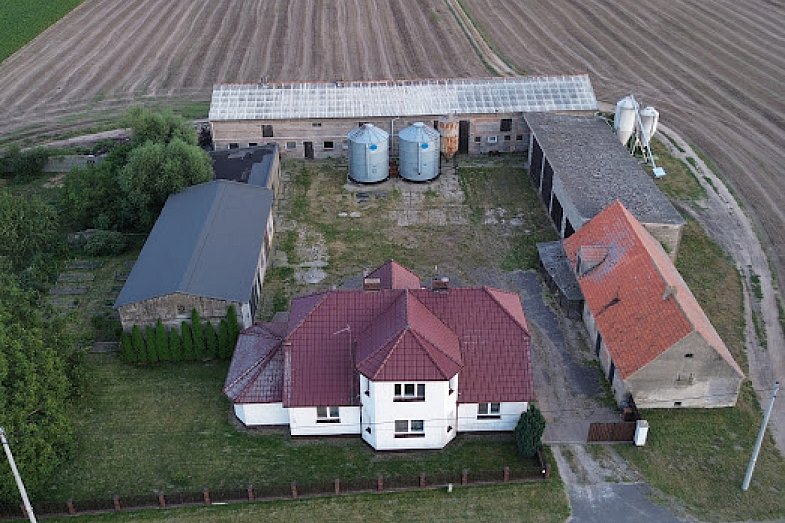 zdjecie ogloszenia