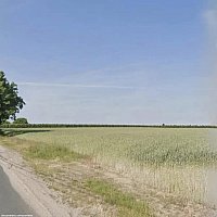 zdjecie ogloszenia