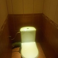zdjecie ogloszenia
