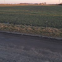 zdjecie ogloszenia