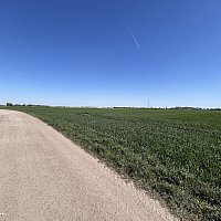 zdjecie ogloszenia