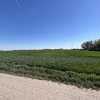 zdjecie ogloszenia
