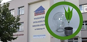 Ekologiczny piknik przy ul. Chrobrego