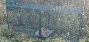 Skradziono klatkę-łapkę