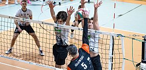 Wilki nie do ugryzienia przez graczy Krishome