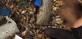 Nielegalny ogrodnik z Nekli