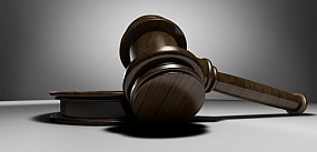 „Król norek” musi przeprosić Otwarte Klatki