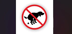 „Jak po koniu”. Śmierdzący problem przy WOK-u