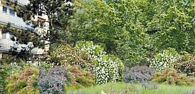 Skwer w centrum Wrześni przejdzie metamorfozę. Jest dof