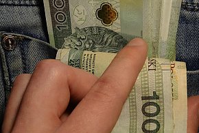 Nowe zasady 800 plus. ZUS sprawdzi zatrudnienie-38842