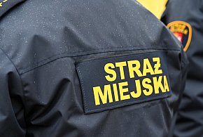 Zapuka strażnik, zapłacisz karę. Ruszyły kontrole w całej Polsce-39575