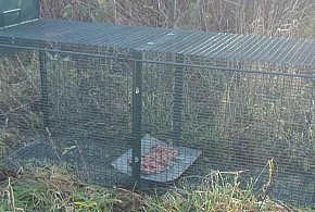 Skradziono klatkę-łapkę. Psi-jaciel apeluje o zwrot-40106