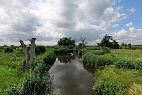 Co dalej z nowym parkiem narodowym? Minister klimatu zdradza plan po wecie-40206
