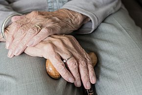 Te osoby dostaną dwie emerytury w grudniu. ZUS przesuwa przelewy-40485