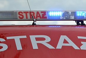 Nocny pożar w Volkswagen Poznań. Ewakuowano ponad 100 pracowników-40743