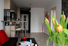 Rewolucja w wynajmie na doby. Nadchodzi koniec "wolnej amerykanki"-40766