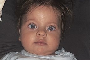 Jest dawca dla Leosia. Pojawiła się nadzieja-41094