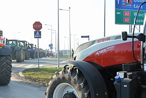 Rolnicy zapowiadają protest w całym kraju. Skala może zaskoczyć-41222