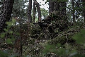 Ćwiczenia wojskowe w lasach czerniejewskich