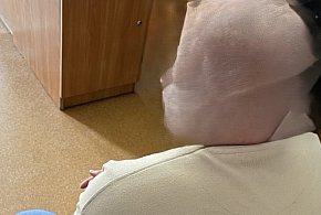 Złodziej rowerów zatrzymany po serii kradzieży