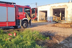 Pożar w budynku inwentarskim w Sokołowie [FOTO]