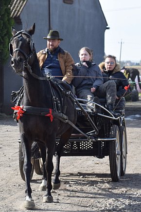 Hubertus w Stajni Bierzglinek-5906