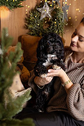 Świąteczne światy Zielonej Fabryki-5960