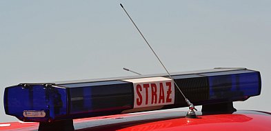 Interwencja straży pożarnej na placu zabaw we Wrześni-39343
