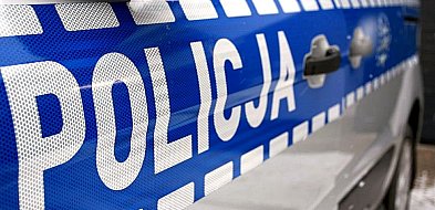 REGION: Pies zaatakował w lesie 8-latka. Dziecko trafiło do szpitala-39782
