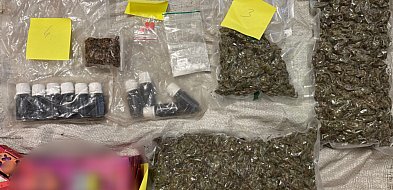 Kilogramy narkotyków ukryte w zbożu, stodole i dojarce-40605