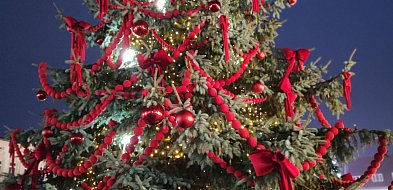 Września walczy o tytuł Świetlnej Stolicy Wielkopolski-41239