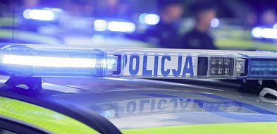 Pożar na działkach odsłonił arsenał. Dwóch mężczyzn z zarzutami