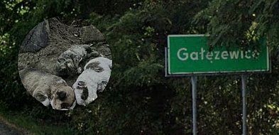 Makabra w Gałęzewicach. Jest akt oskarżenia