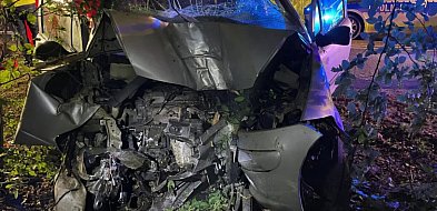 REGION: Śmierć po uderzeniu w drzewo. Kierowca nie miał uprawnień