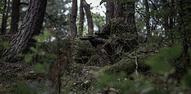 Ćwiczenia wojskowe w lasach czerniejewskich