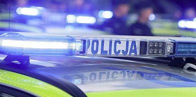 Pożar na działkach odsłonił arsenał. Dwóch mężczyzn z zarzutami