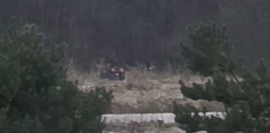 Jeżdżą quadami po lesie w Nekli. Dochodzenie Straży Leśnej [WIDEO]
