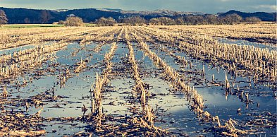 Jak poradzić sobie z trudnościami wprowadzenia uprawy bezorkowej?