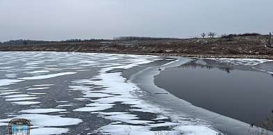 Strażacy z Pyzdr ruszyli na pomoc łabędziowi