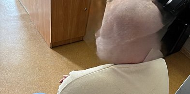 Złodziej rowerów zatrzymany po serii kradzieży