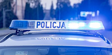 REGION: Śmiertelny wypadek przy zbieraniu szyszek